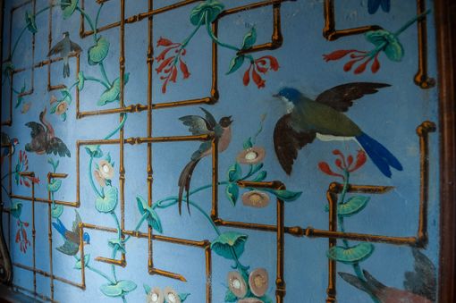 Le immagini di Stringara per il venerdì de La Cinefoto