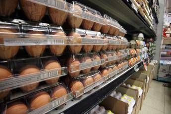 Uova in frigorifero, la 'scoperta' del Regno Unito...