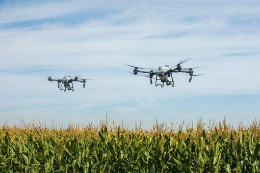 Via libera ai droni in agricoltura: una rivoluzione tecnologica per il settore Via libera ai droni in agricoltura: una rivoluzione tecnologica per il settore
