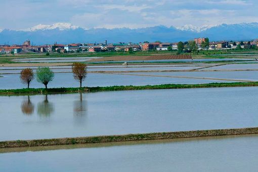 In Piemonte nuove zone per i fitosanitari In Piemonte nuove zone per i fitosanitari