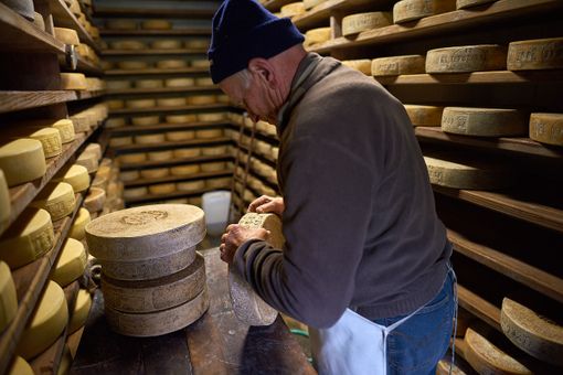 oto di Paolo Sartori