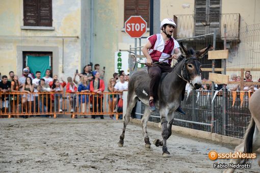 A Premosello un concorso di pittura dedicato all'asino A Premosello un concorso di pittura dedicato all'asino
