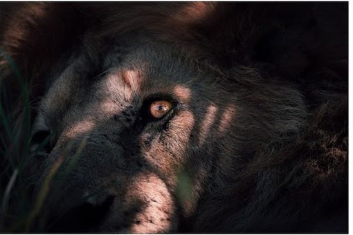 Riparte con l'assemblea dei soci l'attività de La Cinefoto