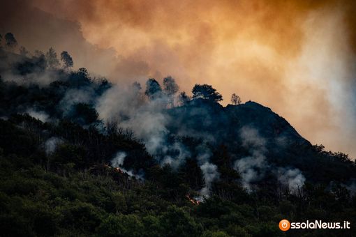 Gli incendi e l'abbandono della montagna
