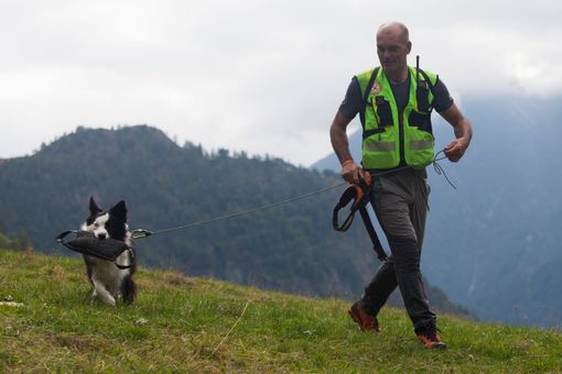 Una quindicina di cani da ricerca in azione in Valle Antrona