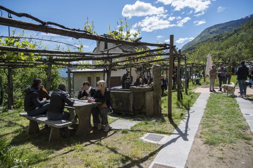 &quot;Ossola in cantina&quot;: torna l'appuntamento alla scoperta delle eccellenze vitivinicole locali