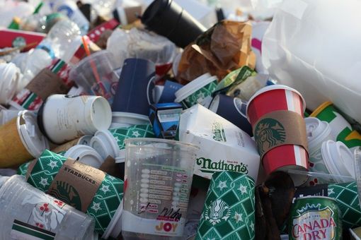 Lotta all'inquinamento da plastica: in Piemonte raccolte 30 tonnellate di rifiuti