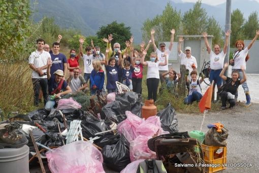 Salviamo il Paesaggio, volontari al lavoro per ripulire le rive del Toce
