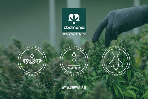 L’alta qualità dei prodotti al CBD: a cosa bisogna fare attenzione?