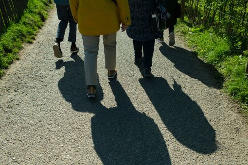 Corso gratuito di nordic walking per i soci della Federazione Anziani e Pensionati Acli