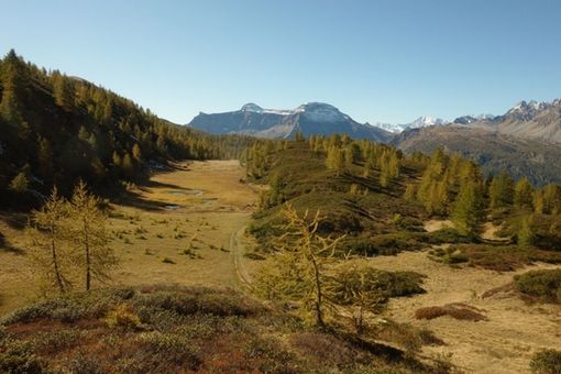 Grande Est, Aree Protette Ossola replica al ricorso del Comitato Tutela Devero Grande Est, Aree Protette Ossola replica al ricorso del Comitato Tutela Devero