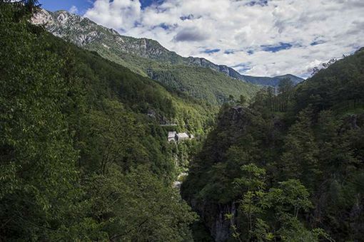 Trasformazione del bosco: la giunta abbassa a 10.000 euro l’importo base per il calcolo della compensazione