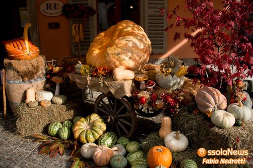 Il villaggio delle zucche a Ornavasso Il villaggio delle zucche a Ornavasso