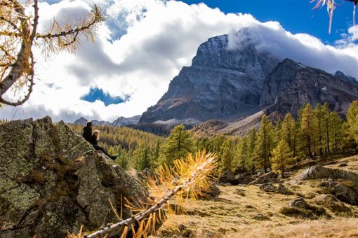 Una conferenza sulla storia dell'alpe Veglia con le Aree Protette dell'Ossola
