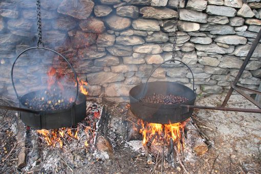 A Coimo è tempo della tradizionale castagnata