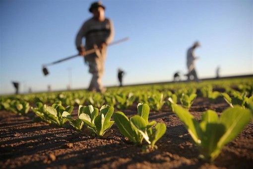Stop al lavoro nelle ore calde della giornata, da lunedì via all'ordinanza della Regione Stop al lavoro nelle ore calde della giornata, da lunedì via all'ordinanza della Regione
