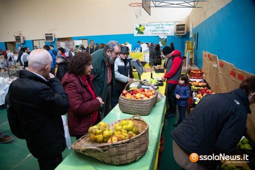 Annullata l'edizione 2022 di MeleMiele