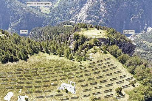 Così dovrebbe essere limpianto di Gondsolar (foto tratta dal sito della società) Così dovrebbe essere limpianto di Gondsolar (foto tratta dal sito della società)