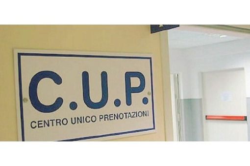 Cup Piemonte, M5S all'attacco: &quot;L'assessore Icardi continua a perdere tempo&quot;