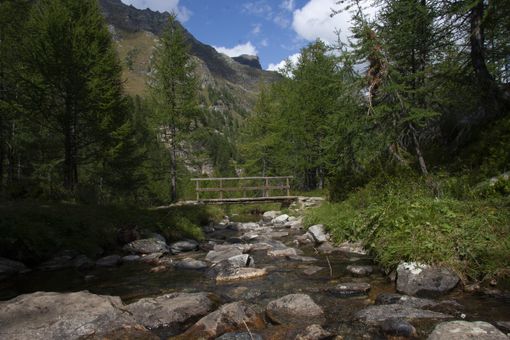 Proposta di legge per valorizzare le reti escursionistiche, Cristina (Fi): “Un'opportunità di crescita per il Vco” Proposta di legge per valorizzare le reti escursionistiche, Cristina (Fi): “Un'opportunità di crescita per il Vco”