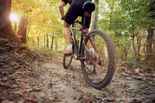 Giornata mondiale della bicicletta, tanti i percorsi nel Vco per gli appassionati