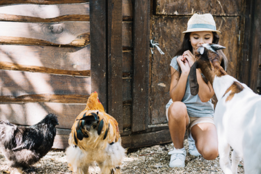 “Green pass Ue importante per l'arrivo del turismo estero in Piemonte”