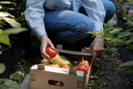 Accordi di foresta, avviso di consultazione tecnica per la costruzione del bando per i contratti di filiera e di distretto Accordi di foresta, avviso di consultazione tecnica per la costruzione del bando per i contratti di filiera e di distretto