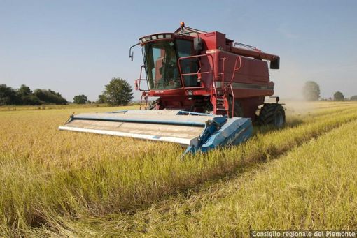 Marco Protopapa (Lega): “Difendere l’agricoltura italiana dalle derive ideologiche della nuova Pac europea” Marco Protopapa (Lega): “Difendere l’agricoltura italiana dalle derive ideologiche della nuova Pac europea”