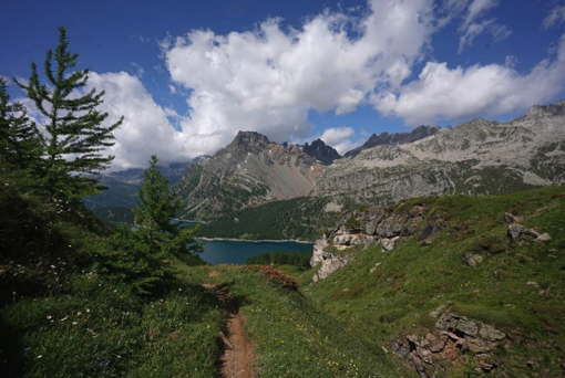 Grande Est, il Consiglio di Stato ha respinto l'appello dell’Ente Aree Protette dell’Ossola