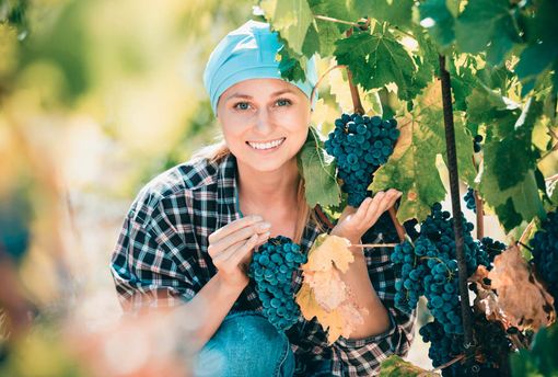 Il lago Maggiore “vetrina” per 100 donne produttrici di vino Il lago Maggiore “vetrina” per 100 donne produttrici di vino