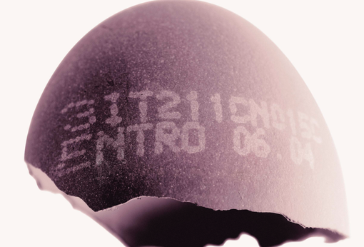 Nuova esposizione del Museo Immaginario in piazza Mercato Nuova esposizione del Museo Immaginario in piazza Mercato