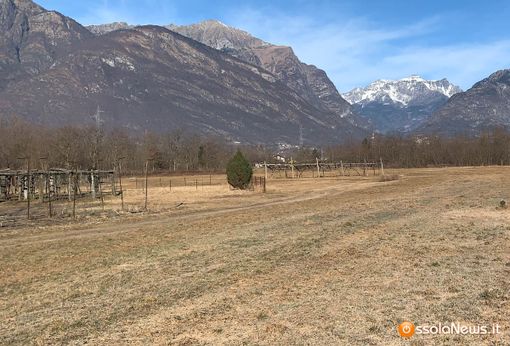 Il Piemonte chiede lo stato di calamità per siccità, Cirio: “Aiutiamo le produzioni agricole” VIDEO Il Piemonte chiede lo stato di calamità per siccità, Cirio: “Aiutiamo le produzioni agricole” VIDEO