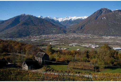 La Roggia dei Borghesi cerca un nuovo presidente La Roggia dei Borghesi cerca un nuovo presidente