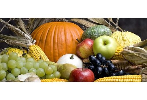 "Maltempo e aumento dei costi dei trasporti mettono a rischio la frutta Made in Piemonte" "Maltempo e aumento dei costi dei trasporti mettono a rischio la frutta Made in Piemonte"