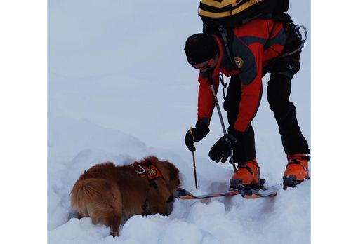 Valanga in alta Valle Formazza, potrebbero esserci degli alpinisti coinvolti