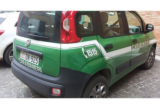 Fa volare un drone alla cima Laurasca, denunciato dai Carabienieri Forestali Fa volare un drone alla cima Laurasca, denunciato dai Carabienieri Forestali