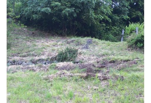 Risarcimenti agli agricoltori per danni da fauna selvatica, il Piemonte stanzia oltre 3,6 milioni di euro