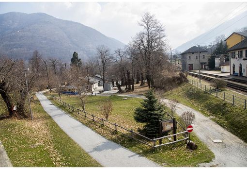 Donatori Ossolani Midollo Osseo, a Trontano torna il festival musicale Coachellula