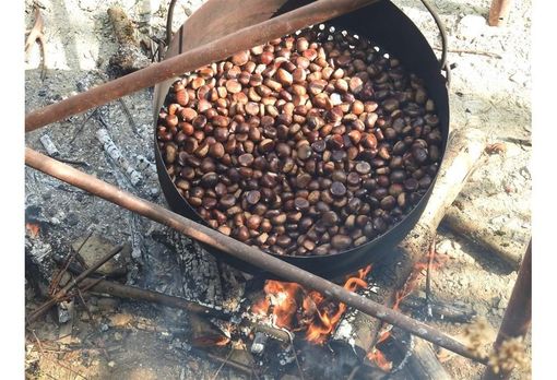 Domenica la castagnata della Pro Loco di Pallanzeno