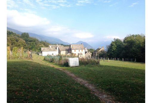 A Sagrogno di Druogno si celebra la patronale di San Rocco