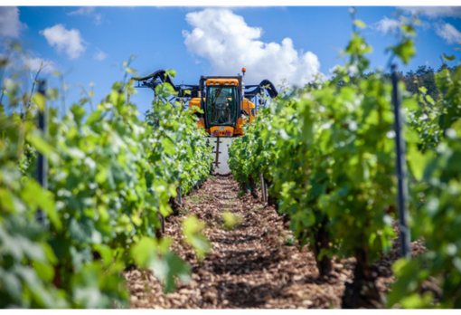 Psr per migliorie aziende agricole, la Regione assegna 28 milioni di euro