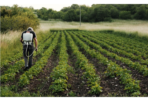 Al via il bando per il servizio civile in agricoltura