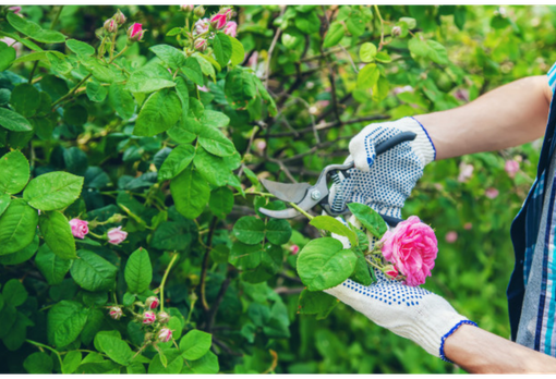 Dall’ Unione Montana delle Valli dell’Ossola un bando per 4 disoccupati
