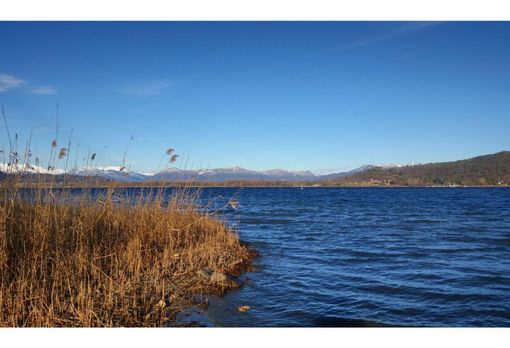Legambiente, bilancio non positivo per il lago Maggiore. Meglio  quello di Orta