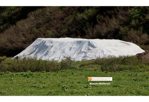 Svizzera, teli geotermici per ''conservare'' i ghiacciai