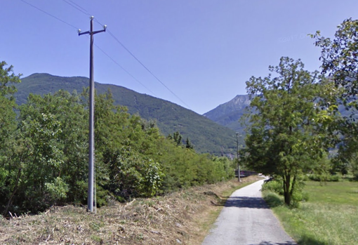 Preglia, cavi elettrici più sicuri dove sono morti fulminati due gufi reali