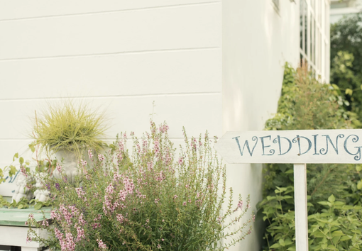 Allestimento matrimoni