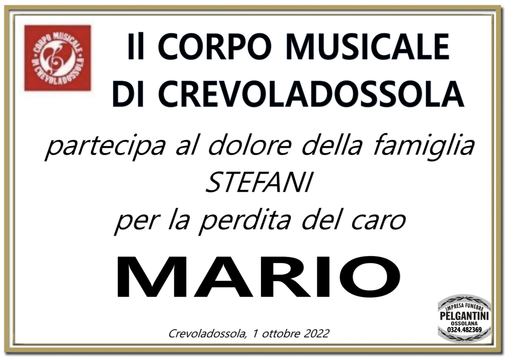 Partecipazione