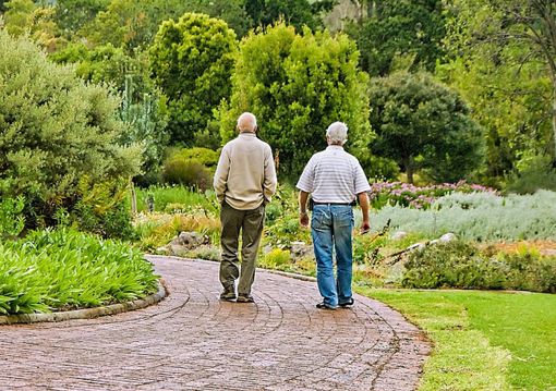 Il Verbano Cusio Ossola non è una provincia per anziani Il Verbano Cusio Ossola non è una provincia per anziani