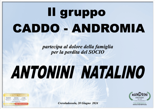 Partecipazione Partecipazione